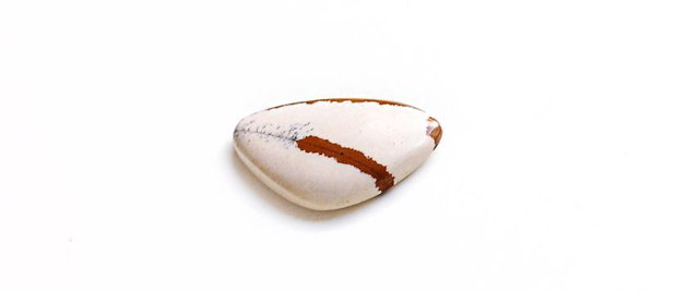 Cabochon jasper natural - J16