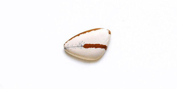 Cabochon jasper natural - J16