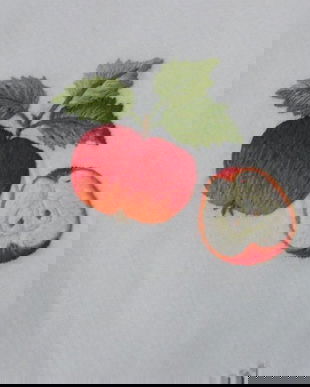 Set 2 servete brodate