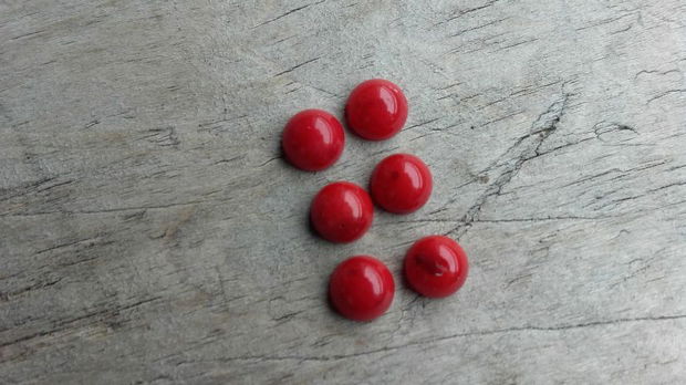 Cabochon coral, 5-6 mm (2 buc)