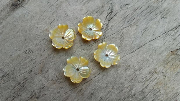 Floricele sidef, 11 mm (2 buc)