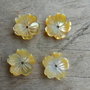 Floricele sidef, 11 mm (2 buc)