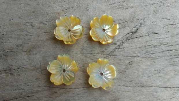 Floricele sidef, 11 mm (2 buc)