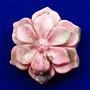 K0558 -  Pandantiv rodonit, floare sculptata manual, roz prafuit, 35x31x10mm