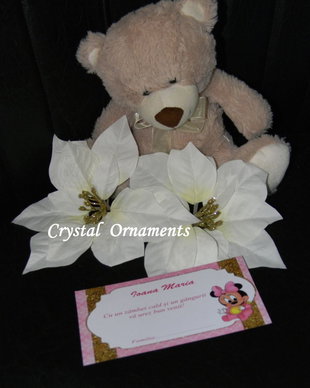 Plic de bani botez baby Minnie