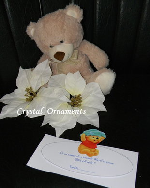 Plic de bani botez Baby Winnie The pooh