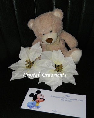 Plic de bani botez Baby Mickey