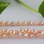 Perle cultura 5x5.5-6mm, cod ID42 (1)