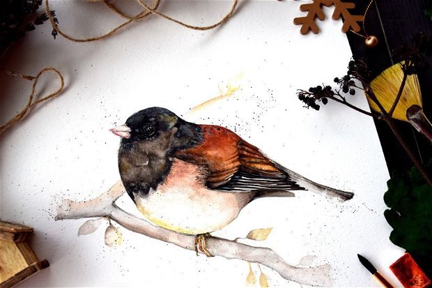 Winter Bird - Pictura Originala in acuarela - Nature & Colors Collection