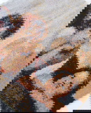 Husa perna cu ingerasi