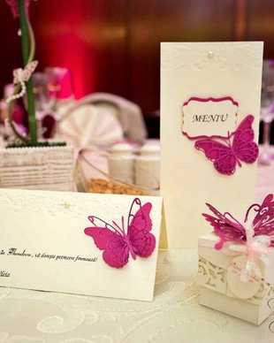 Set papetarie botez cu fluturi