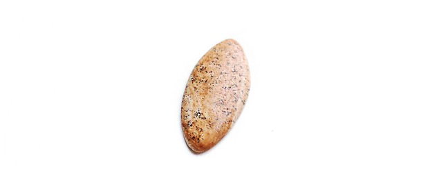 Cabochon jasper natural - J33