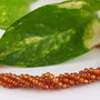 Garnet fatetat, 2mm/2.5/3mm
