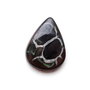 Cabochon Septarian -  J56