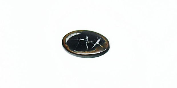 Cabochon Septarian -  J51