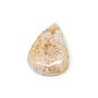 Cabochonn coral fosil - L99