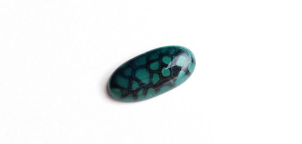 Cabochon agat dragon veins -DR1