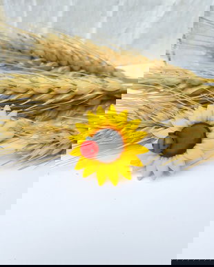 Brosa  floarea-soarelui