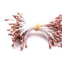Lstamine13 - (5 buc) stamine maro