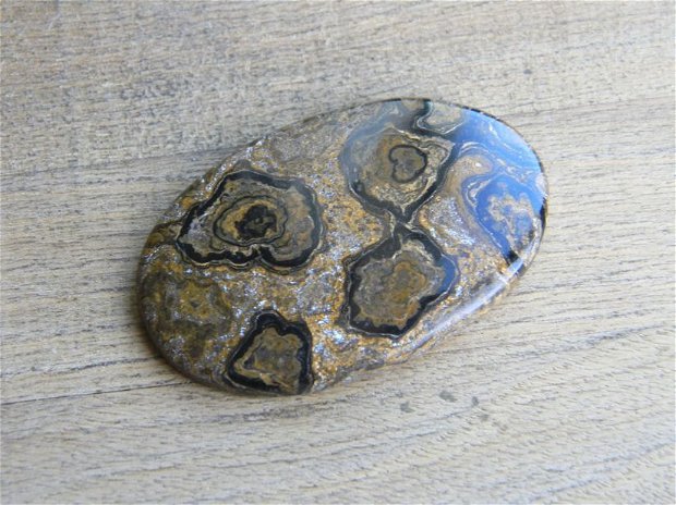 Caboson Stromatolit (C73)