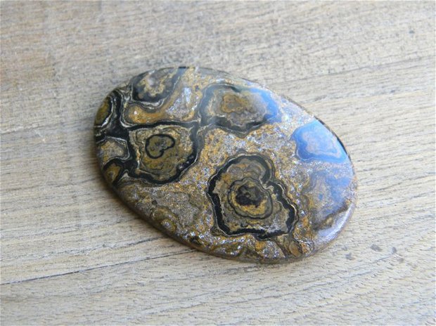 Caboson Stromatolit (C73)