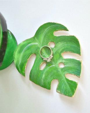 Farfurioara frunza monstera