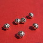 Dovleac "inflorat" aprox 8x7 mm