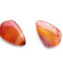 Pereche  agate