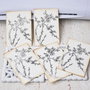 Set 25 cartonase martisor