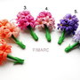 Hyacinthus orientalis(Zambile) -martisoare brose