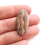 Cabochon  jasper natural - J21