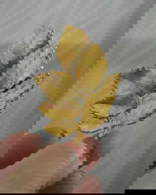 BROSA VINTAGE FRUNZA