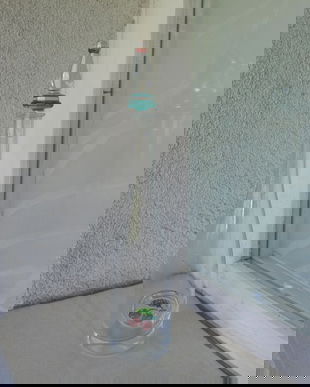 STICLA ANII 65 PENTRU VISINATA SAU CAPSUNATA