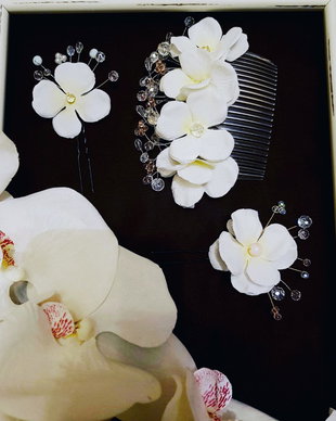 Accesorii par mireasa