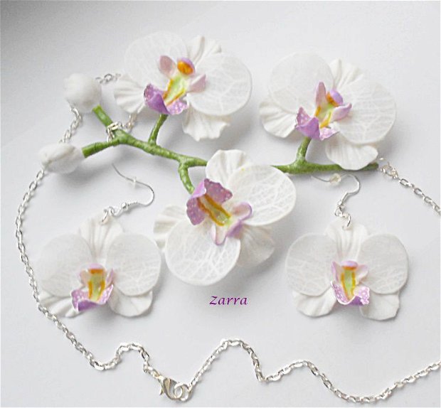 Ramurica cu orhidee-rezervat Corina
