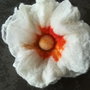 Brosa, martisor de lână merinos impaslita