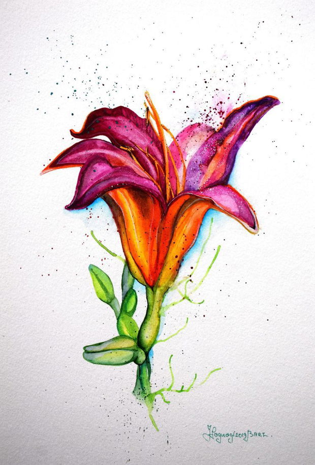 Sweet Lily - Pictura Originala in Acuarela - Nature & Colors Collection