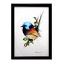 Variegated Fairywren - Pictura Originala in acuarela - Nature & Colors Collection