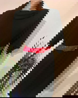 Pulover/tunica/ rochita