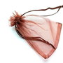 LAE65 - saculet organza maro