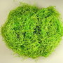 K0561 - Fibra din lemn / Iarba decorativa de Paste, verde deschis, 500g