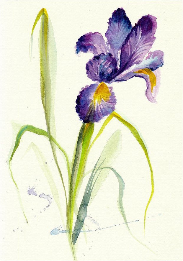 Tablou Iris Acuarela