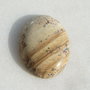 Cabochon din picture jasper aprox 40x30x8.5 mm