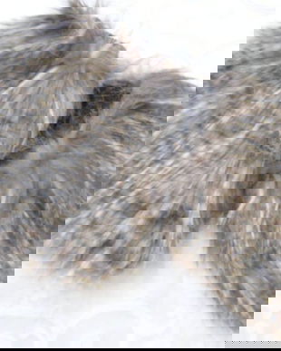 NOI-Jambiere blana sintetica