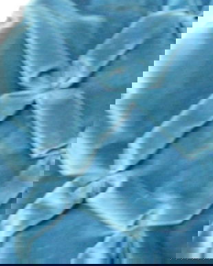 Husa perna decorativa