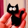 Brosa - The surprised cat :)