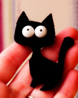 Brosa - The surprised cat :)
