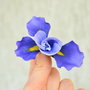 Iris- brosa mare