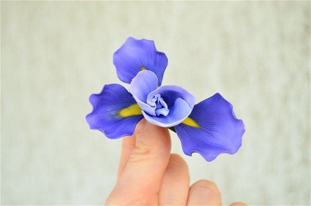 Iris- brosa mare