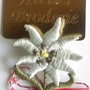 Martisor brosa Floare de Colt